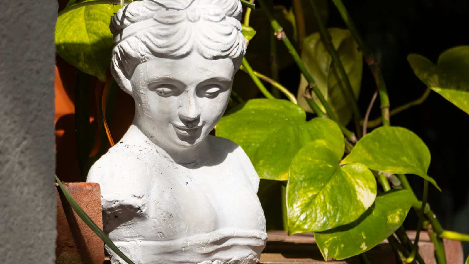 A white plaster bust of a woman is placed outdoors beside green leafy plants, partially lit by sunlight.