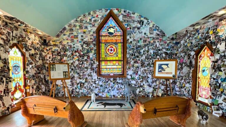 A colorful, chapel-like room features stained glass windows, dog-shaped pews, animal statues, and walls covered with photographs and notes.