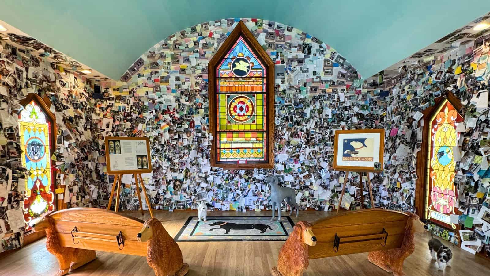 A colorful, chapel-like room features stained glass windows, dog-shaped pews, animal statues, and walls covered with photographs and notes.