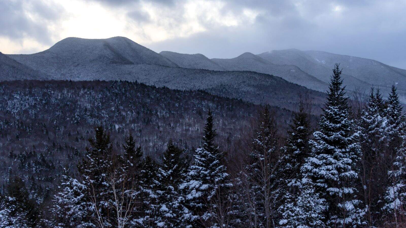 Snow-covered evergreen trees in the foreground with forested mountains and a cloudy sky in the background.