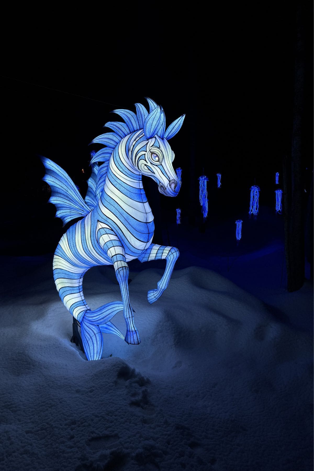 A blue and white illuminated horse sculpture with fin-like wings stands on snow at night, with similar lights visible in the background.