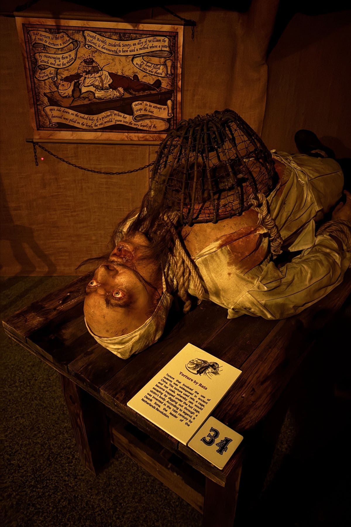 A realistic mannequin depicts a person tied face-up on a wooden table with a cage over their torso; an informational sign and illustrated diagram are displayed nearby.