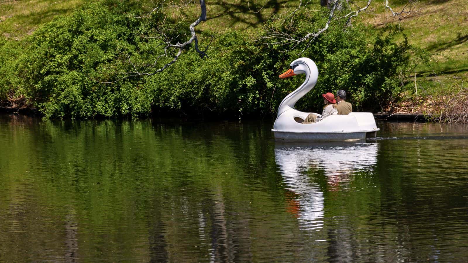 Two people ride a white swan-shaped pedal boat on a calm lake, surrounded by green foliage and trees reflected in the water.