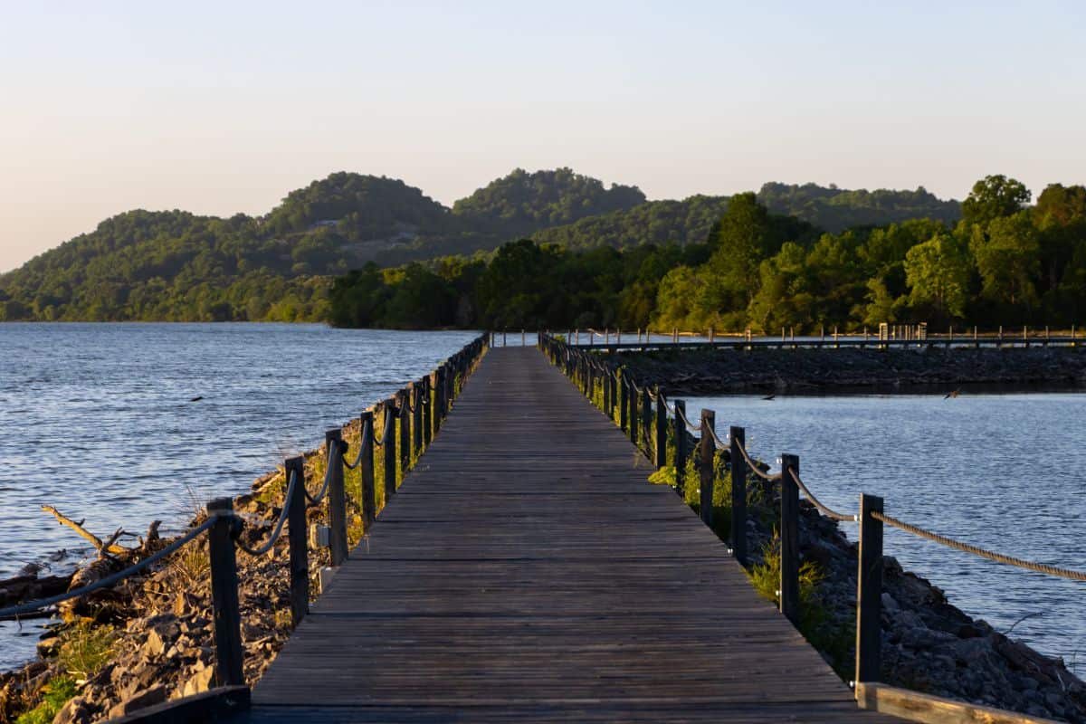 Wooden boardwalk extends over a lake toward a tree-covered hillside, with calm water and green foliage on both sides under a clear sky.