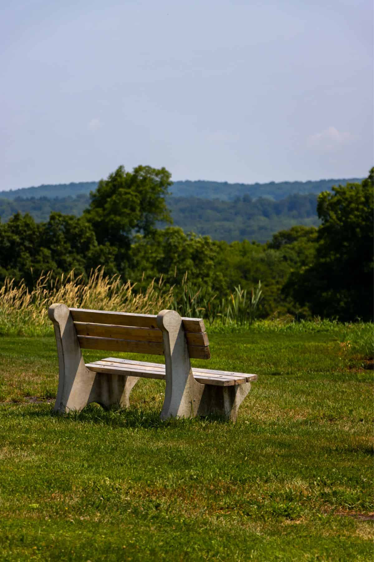 Wooden park bench on a grassy field with trees and hills in the background under a clear sky.