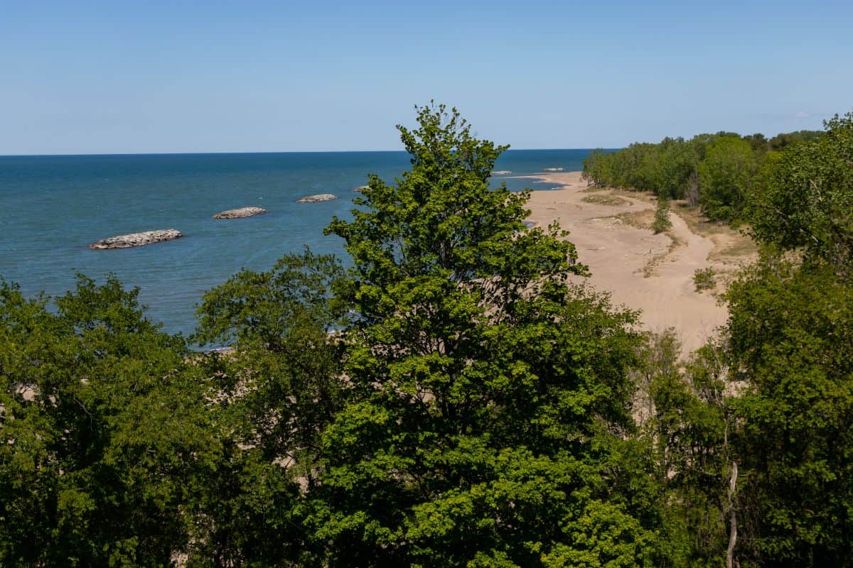 View of a sandy beach bordered by green trees and calm blue water, with several rocks visible offshore under a clear sky.