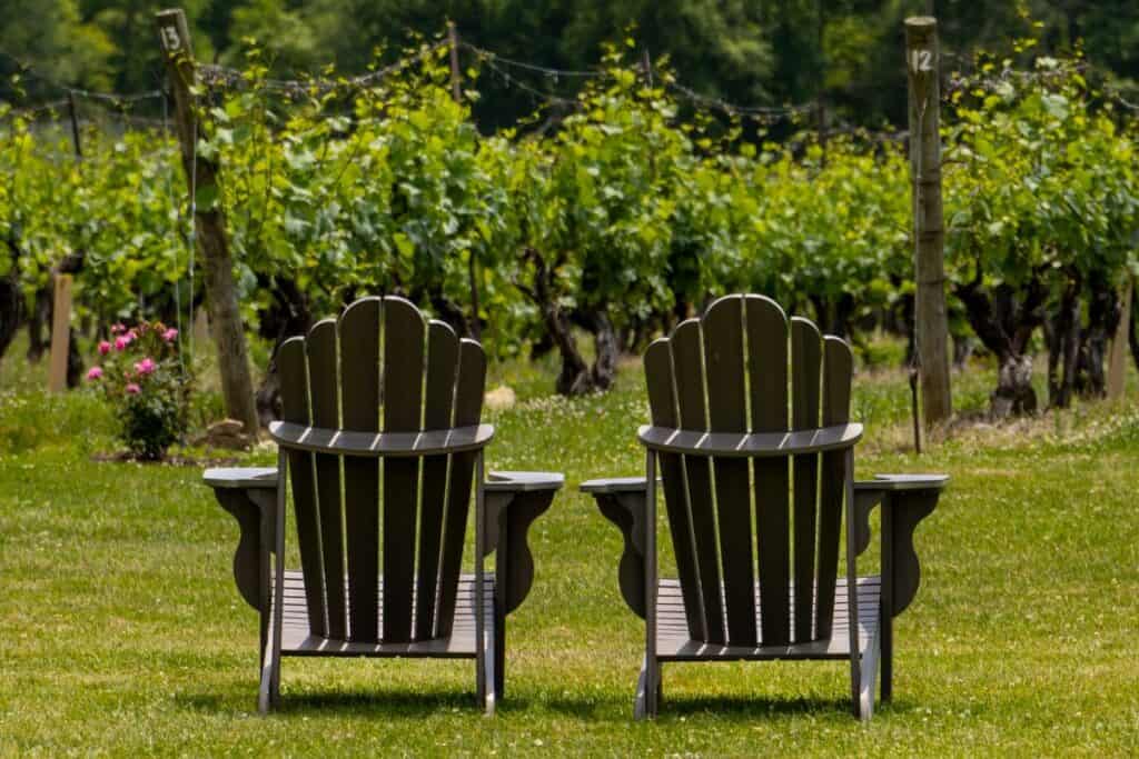 Two wooden Adirondack chairs sit on a grassy lawn facing a vineyard with green grapevines and numbered wooden posts.
