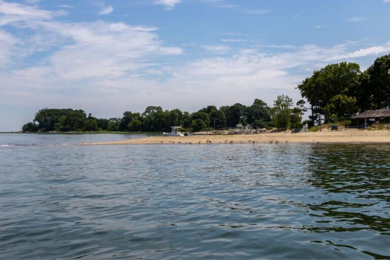 A sandy beach with trees in the background borders a calm body of water under a partly cloudy sky.