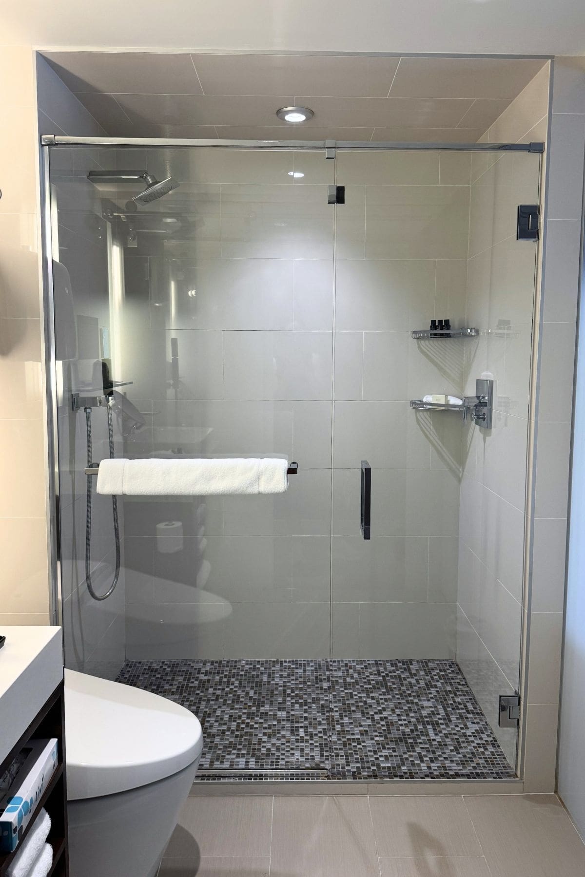 Modern bathroom with a glass-enclosed shower, wall-mounted towel bar, rainfall showerhead, and corner shelves with toiletries. A toilet and a vanity with towels are visible in the foreground.