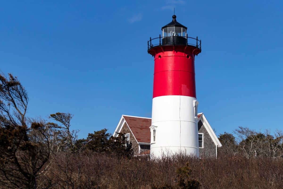 A red and white lighthouse stands behind leafless shrubs under a clear blue sky, with part of a house visible behind it.