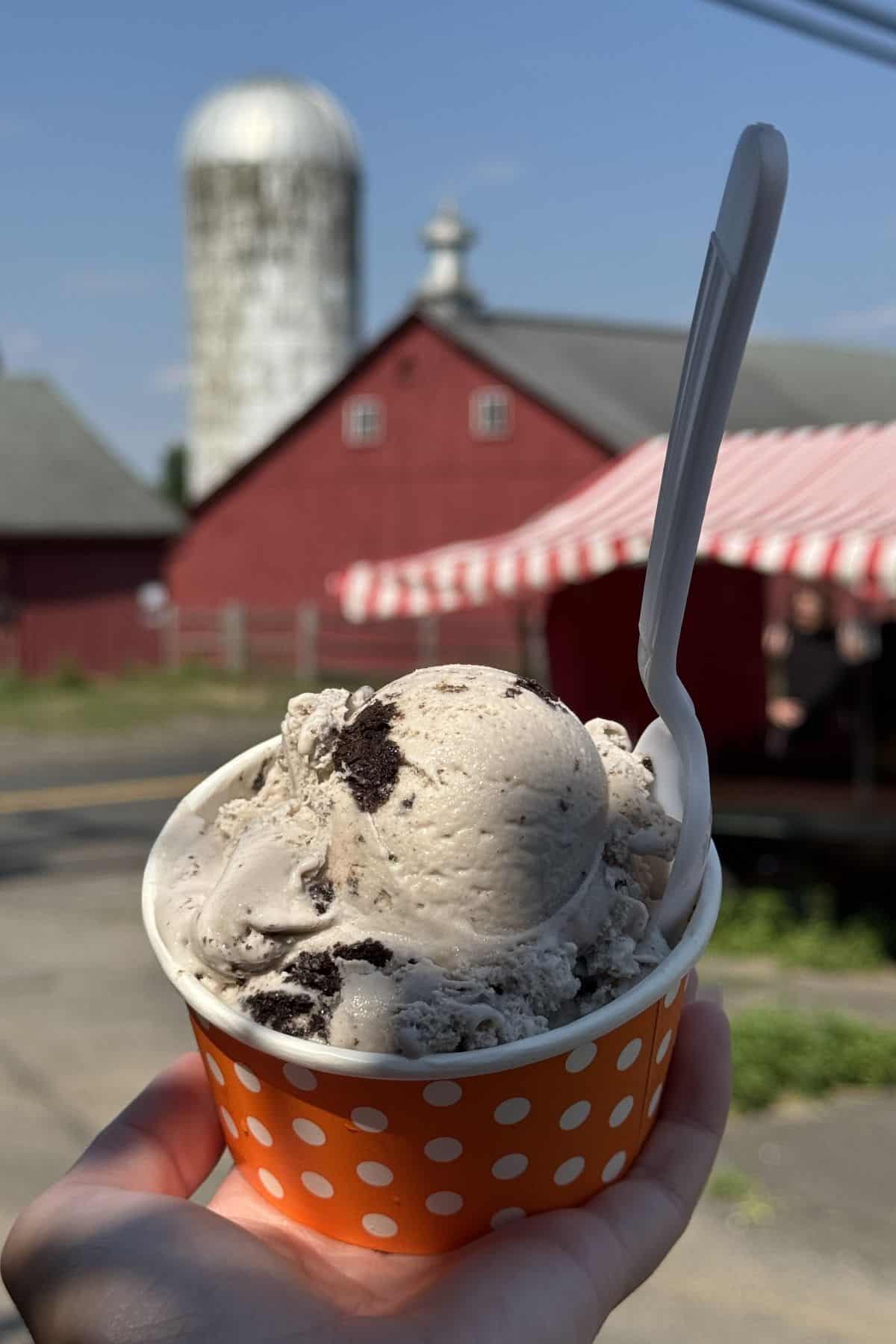 A hand holds a cup of cookies and cream ice cream with a plastic spoon in front of a red barn and silo on a sunny day.