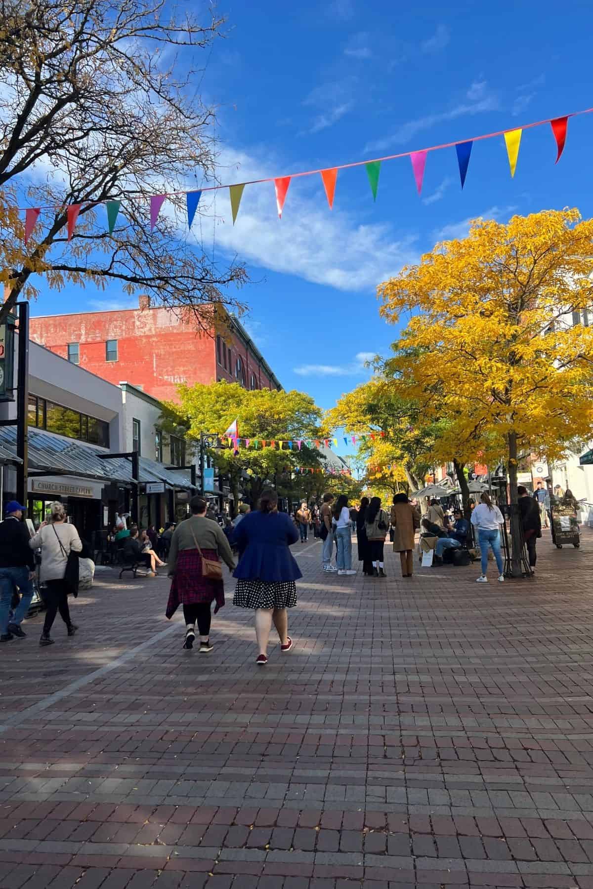 People walk along a brick-paved pedestrian street lined with shops and autumn trees, with colorful pennant banners hanging overhead.