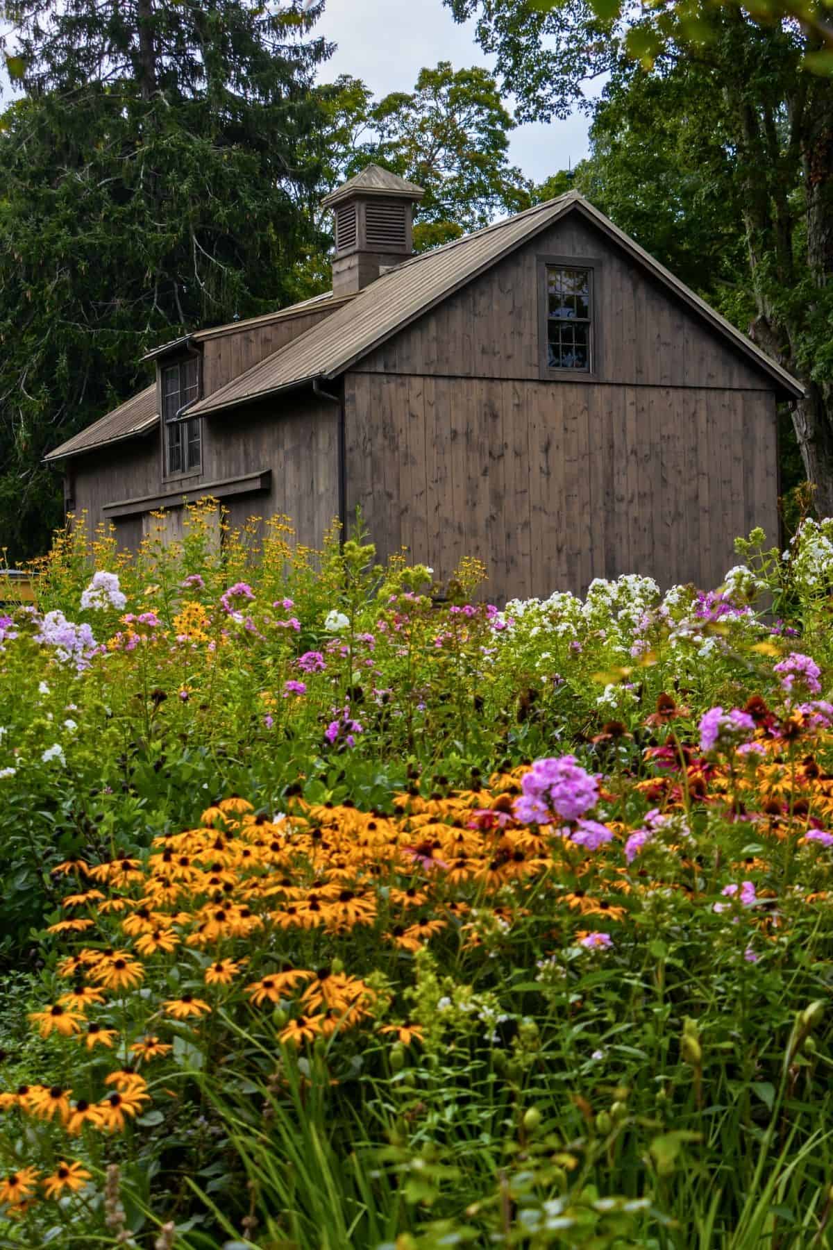 A rustic wooden barn sits behind a vibrant garden filled with orange, purple, and white flowers, surrounded by tall green trees.