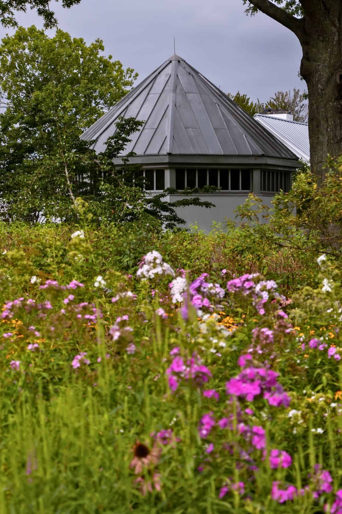 A metal-roofed building with triangular panels is partially visible behind a field of wildflowers and green foliage under a cloudy sky.