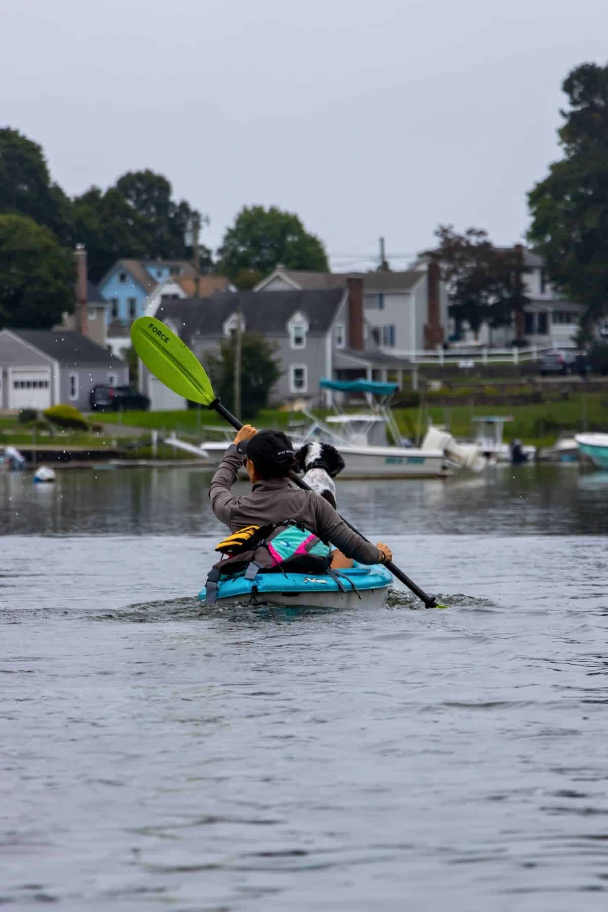 A person paddles a blue kayak with a black and white dog sitting in the back on a calm body of water, with houses and boats in the background.