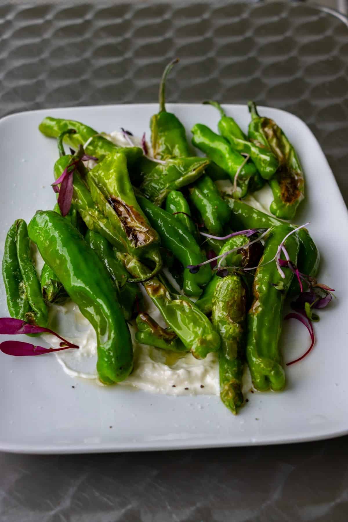 A plate of roasted green peppers on a white square dish, garnished with microgreens and served on a bed of creamy white sauce.