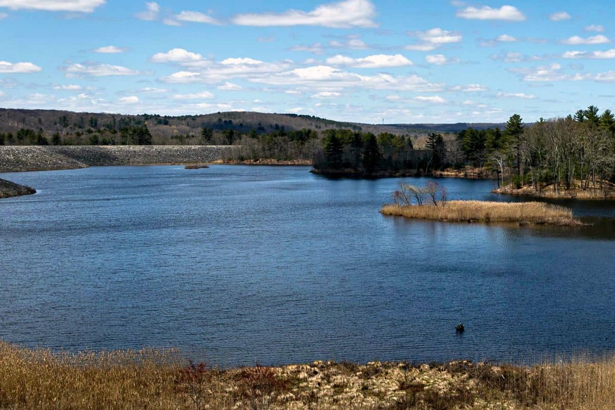 A calm reservoir with a small island and reeds, surrounded by forested hills under a blue sky with scattered clouds.