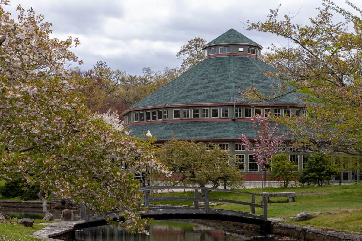A round building with a green conical roof stands behind a small arched footbridge and a pond, framed by flowering spring trees.